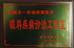 全国五一劳动奖章麦丹眼科疾病诊治工作室成立